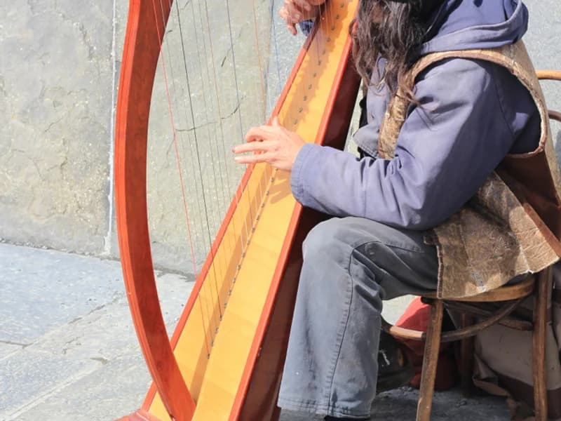 The Irish Washerwoman